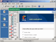Web Questionnaire screenshot